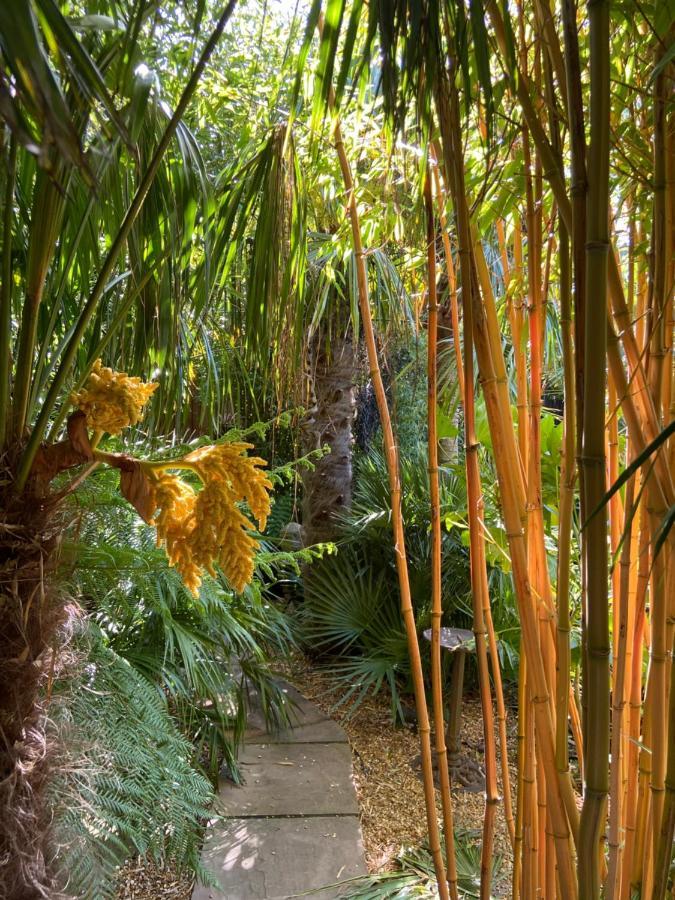 Jungle Cabin Martin Mill Exterior foto