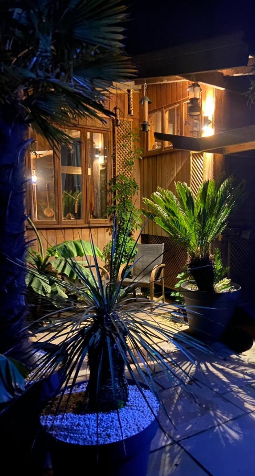 Jungle Cabin Martin Mill Exterior foto