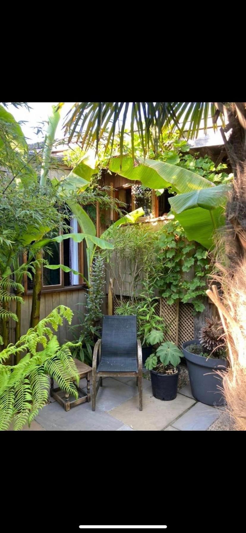 Jungle Cabin Martin Mill Exterior foto